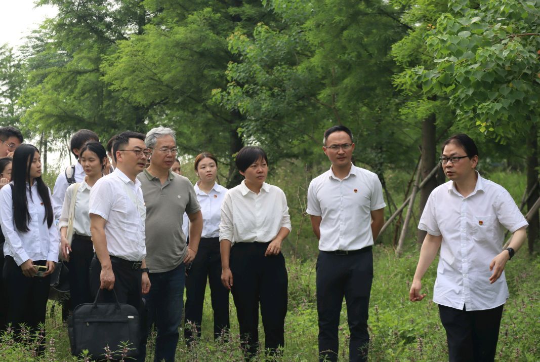 湿地鹿鸣处 党旗映初心 一场生动的“党建+生态”党日活动